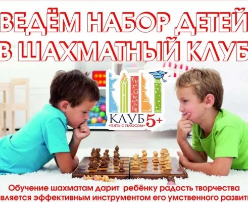Шахматы