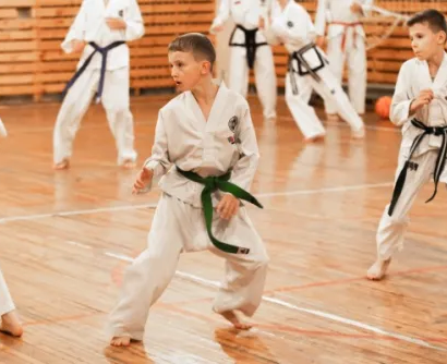 КБИ Звездный Тхэквондо