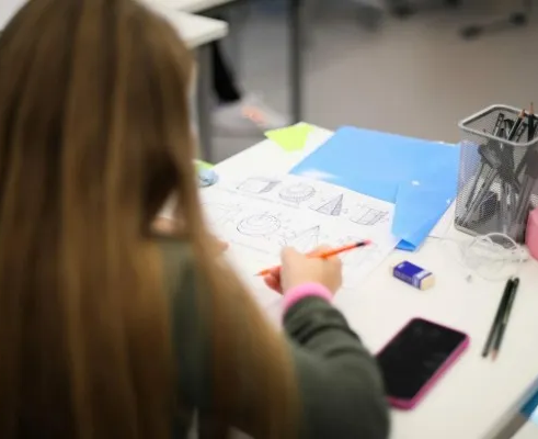 Углубленное изучение школьных предметов. Индивидуальные занятия