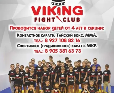 Клуб единоборств Viking