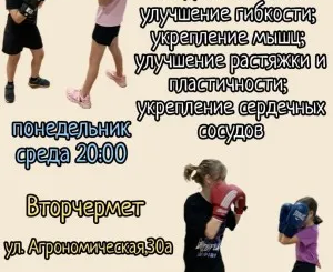 Бокс для детей и взрослых район Вторчермет в Екатеринбурге
