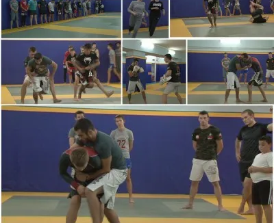 ММА смешанные единоборства