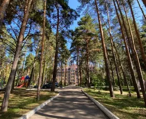 Креативная смена 29 октября - 4 ноября