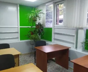 Репетитор к ЕГЭ и ОГЭ по школьным предметам