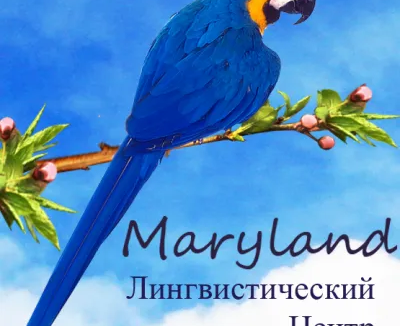 Лингвистический центр Maryland: курсы иностранных языков