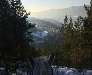 Конные прогулки