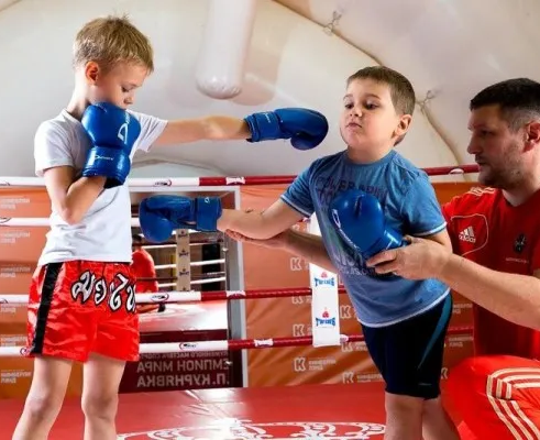 Силачи (бокс)