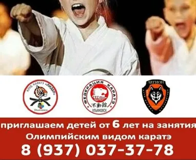 Олимпийское каратэ WKF