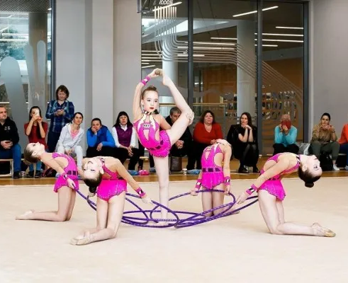 Художественная гимнастика