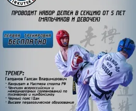 Тхэквондо ГТФ