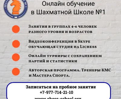 Шахматы