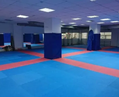 Российский центр капоэйры, Бибирево