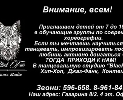 Студия современного танца Black Fox