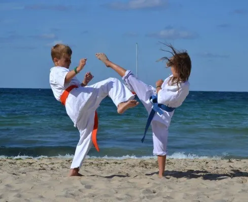 Карате-киокусинкай