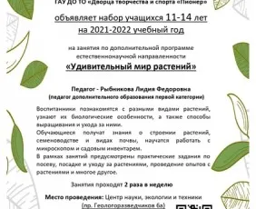Удивительный мир растений