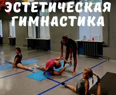 Эстетическая гимнастика