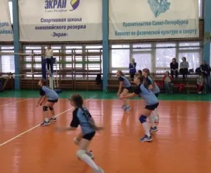 Волейбол (на ул. Пугачева Е.И.)