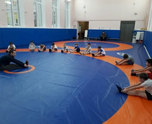 Греко-римская борьба