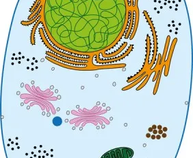 Школа молекулярной биологии и биоинформатики