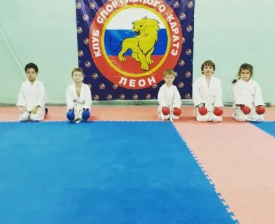 Каратэ WKF
