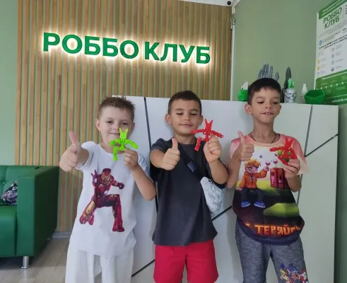 Игровая робототехника