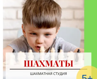 Шахматы