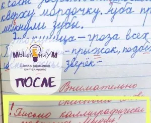 Чистописание, аккуратный почерк и грамотное письмо