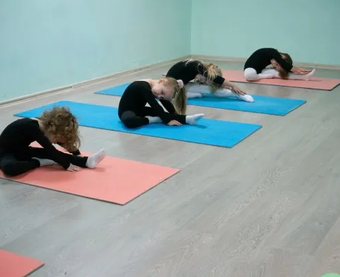 Гимнастика в Восточном Дегунино GymBalance