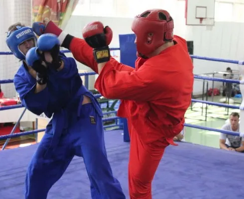 Самбо, кудо, рукопашный бой