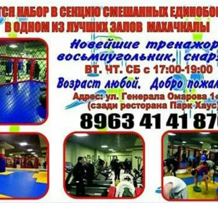 Смешанные единоборства