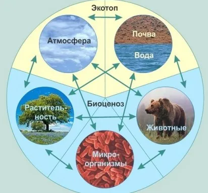 Биология для детей 10-15 лет