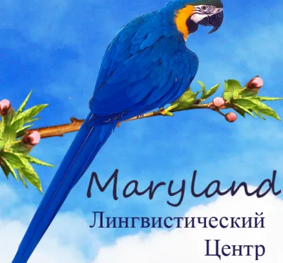 Лингвистический центр Maryland: курсы иностранных языков