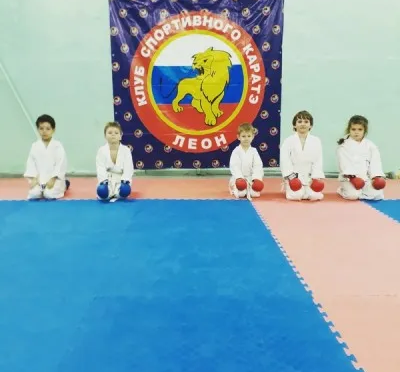 Каратэ WKF