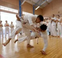 Международная школа капоэйры ARTE-CAPOEIRA