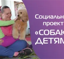 Автономная некоммерческая организация Центр всестороннего развития "МЫ ВМЕСТЕ"