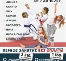 Центр изучения единоборств и оздоровительных практик «Восточный стиль»