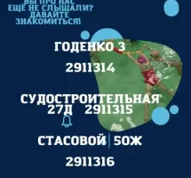 Аква центр "СаМарин"
