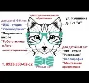 Центр дополнительного образования "Умный кот"