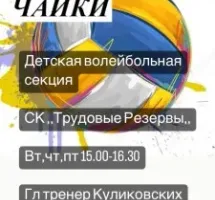 Детская волейбольная секция