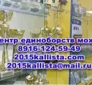 Центр единоборств Каллиста