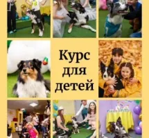 Курсы для детей "Юный дрессировщик"