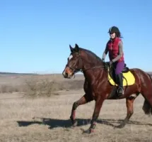 Глушкова Эльвира Станиславовна