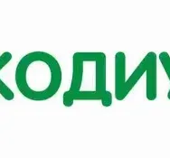 Кодиум - клуб робототехники и программирования