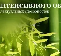 Центр интенсивного обучения "Славио"