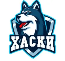 Детская футбольная школа «Хаски»