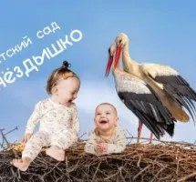 Гнёздышко
