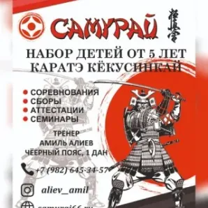 Каратэ Кекусинкай «Самурай»