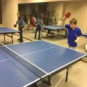 Настольный теннис
