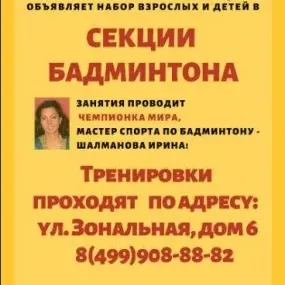 Бадминтон