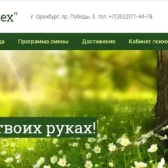 Online-лагерь «Успех»